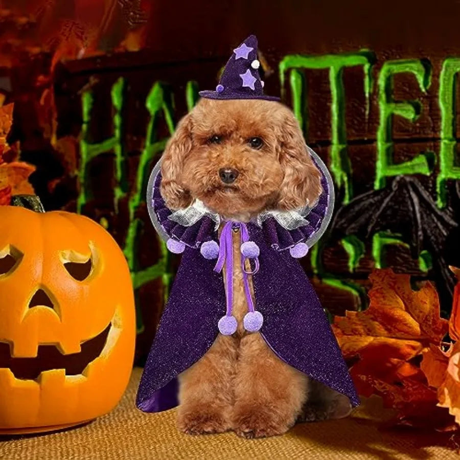Pet Halloween Costume Wizard Cloak With Hat For Cats And Small Dogs