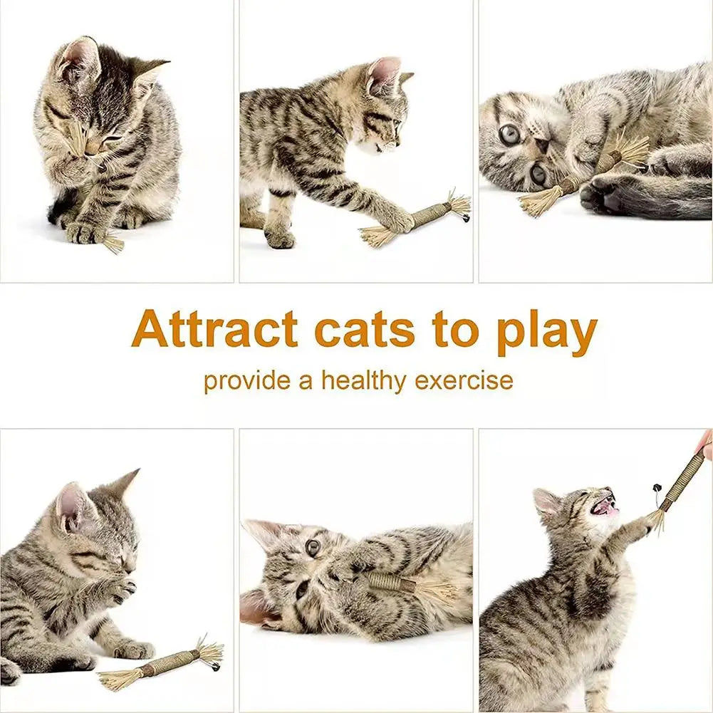 Natural Cat Chew Stick With Catnip For Teeth Cleaning