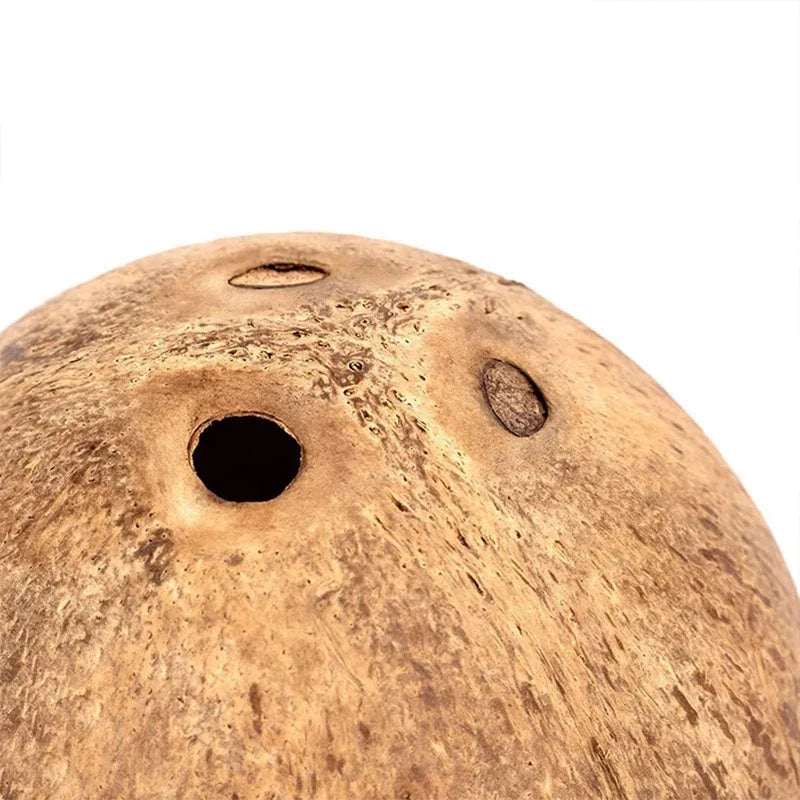 Zhejiang Hamster House Bite Resistant Natural Wooden Hideout