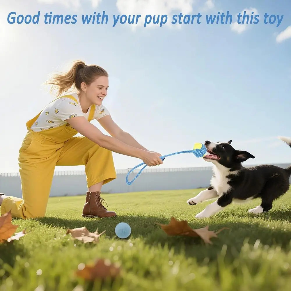 Puppy Chew Toys Bundle For Small Dogs 20 Pack Rubber