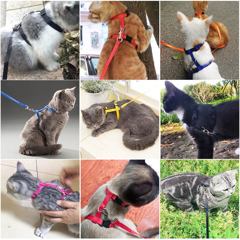Adjustable Cat Collar Harness Leash Set Nylon For Cats