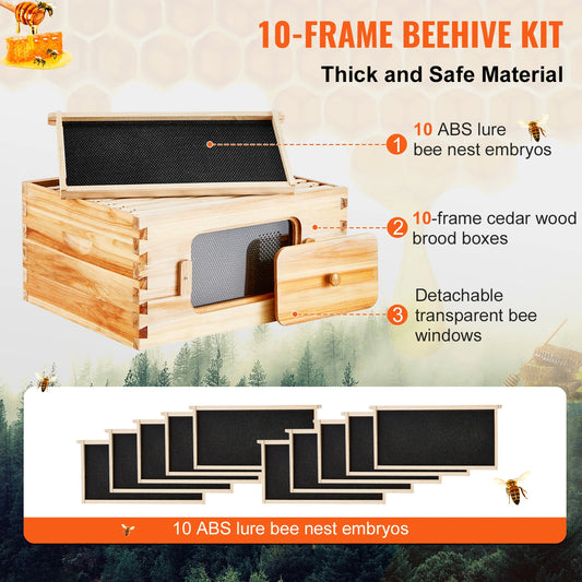 SucceBuy Natural Cedar Wood Langstroth Beehive Kit With Acrylic Windows