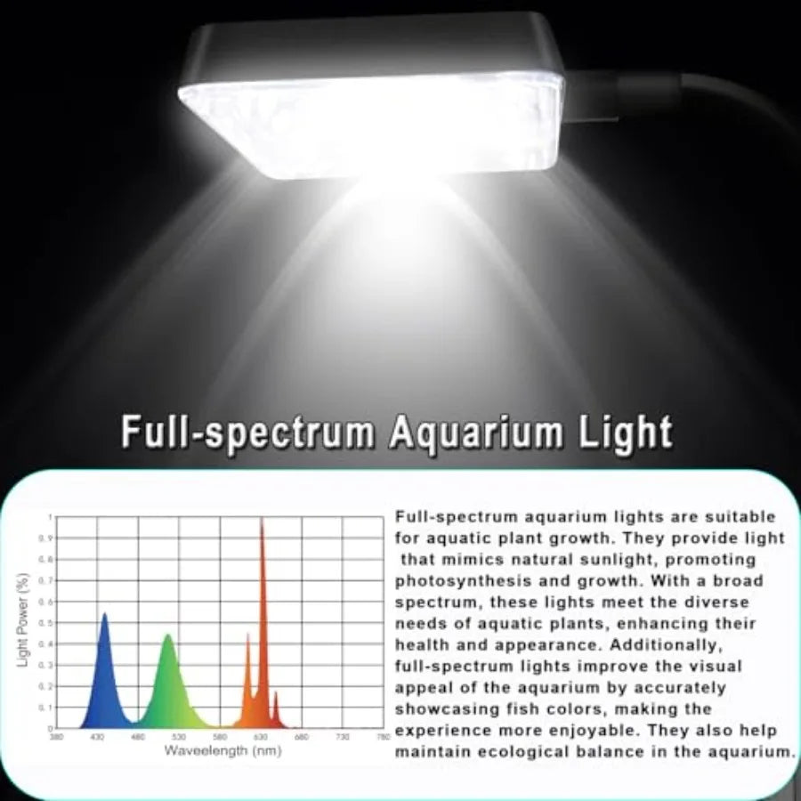 Glass Betta Aquarium Starter Kit With LED Light And Filter