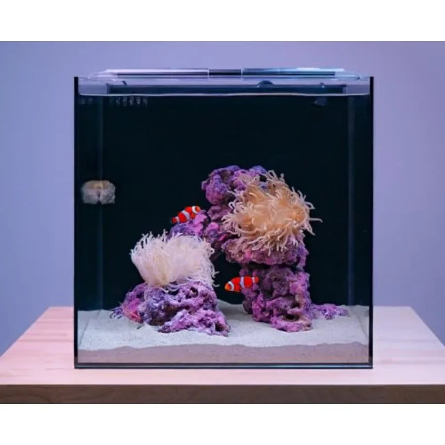 Hign Concerned Saltwater Aquarium Kit With App Controlled LED Lighting