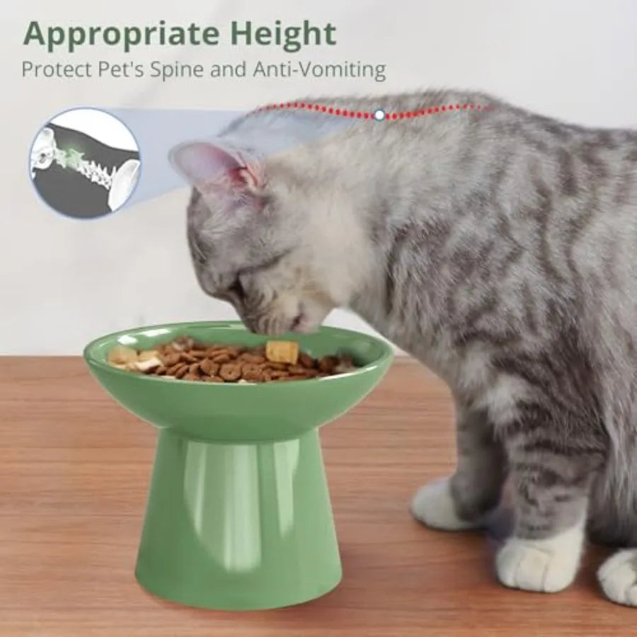 Elevated Cat Bowls Set Of 2 Indoor Cat Whisker Fatigue