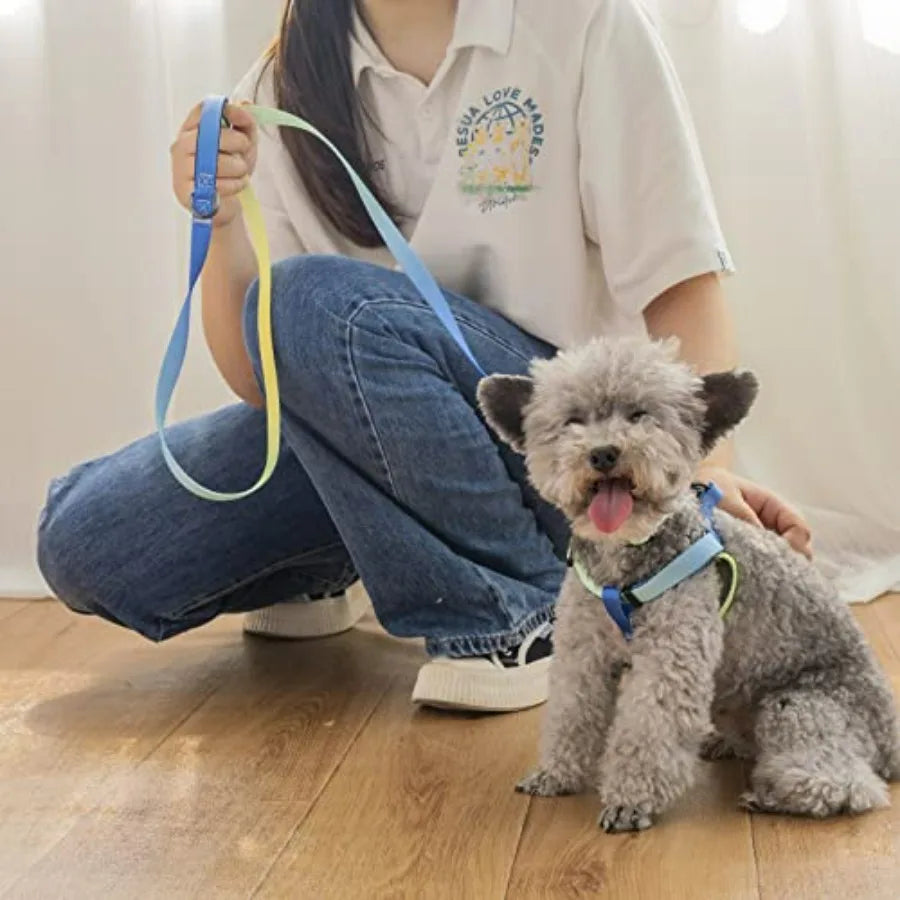 No Pull Dog Harness And Leash Set With Adjustable Collar