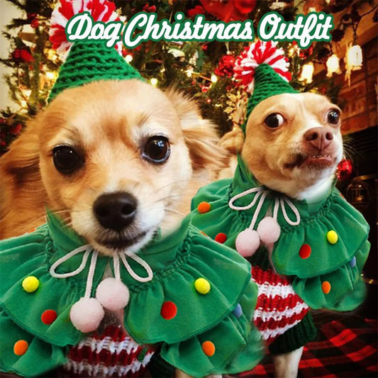 Christmas Evergreen Themed Pet Costume Cape With Extravagant Headpiece Adornments