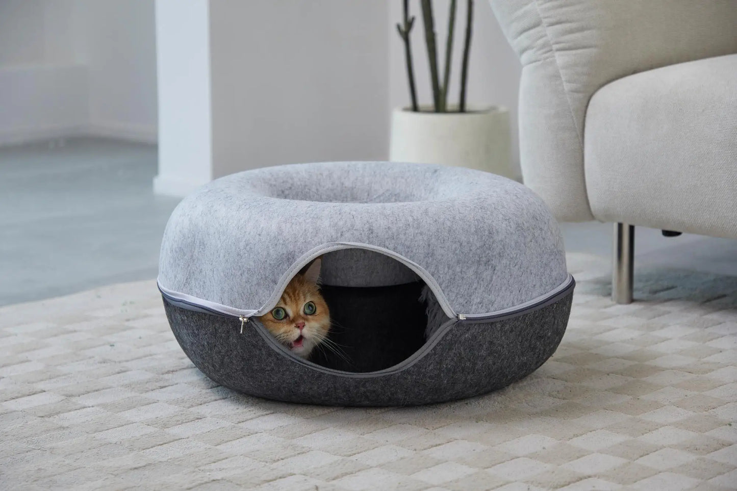 Is Smart Device Hexagon Cat Tunnel Bed For Multiple Cats Scratch Resistant Washable Felt