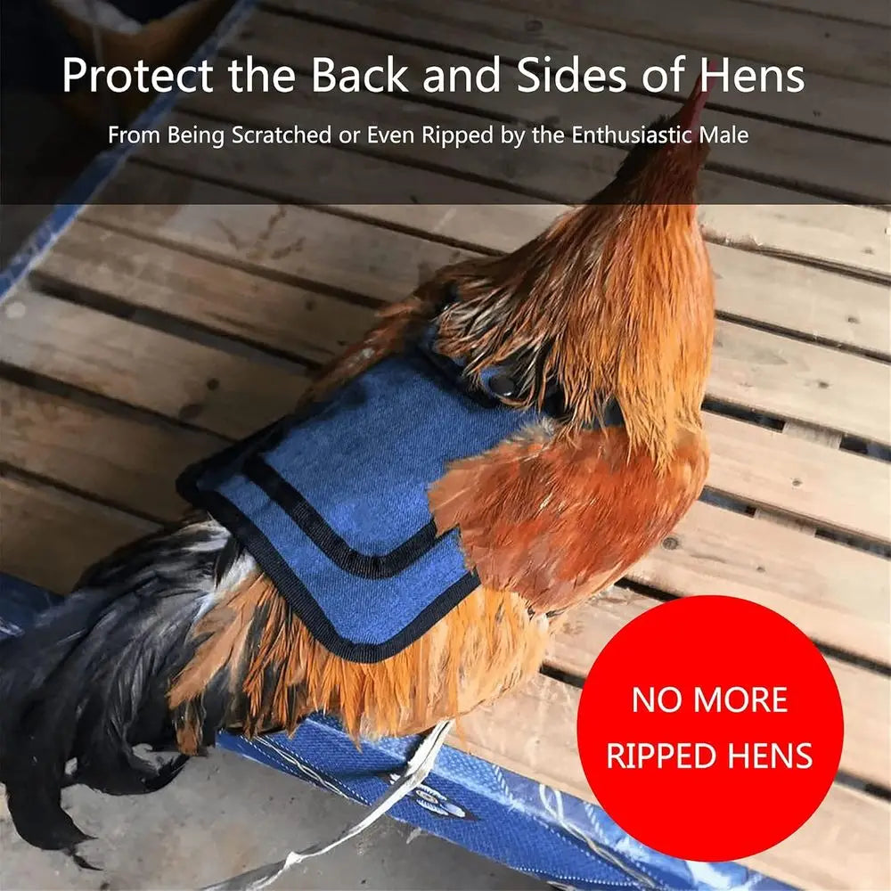 Three Piece Chicken Suit Set With Stretchy Straps Hen Protector