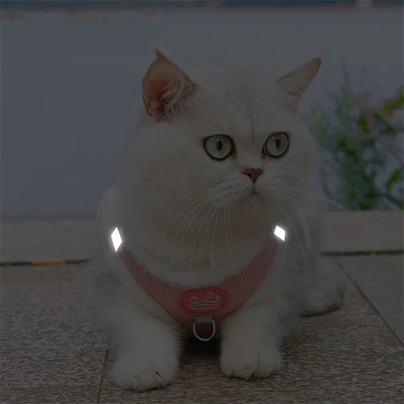 Sphynx Cat Harness Vest With Fur Winter Warm Leash Set