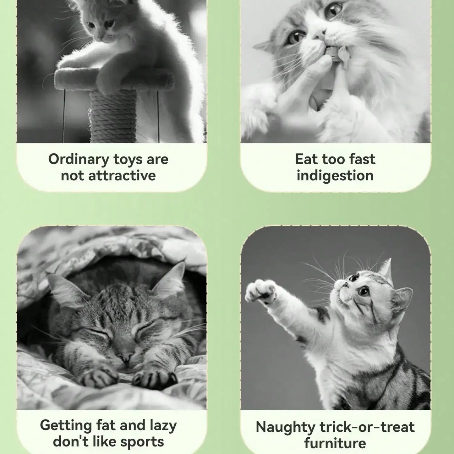 Planetary Interactive Cat And Dog Snack Dispenser Educationally Stimulating Puzzle