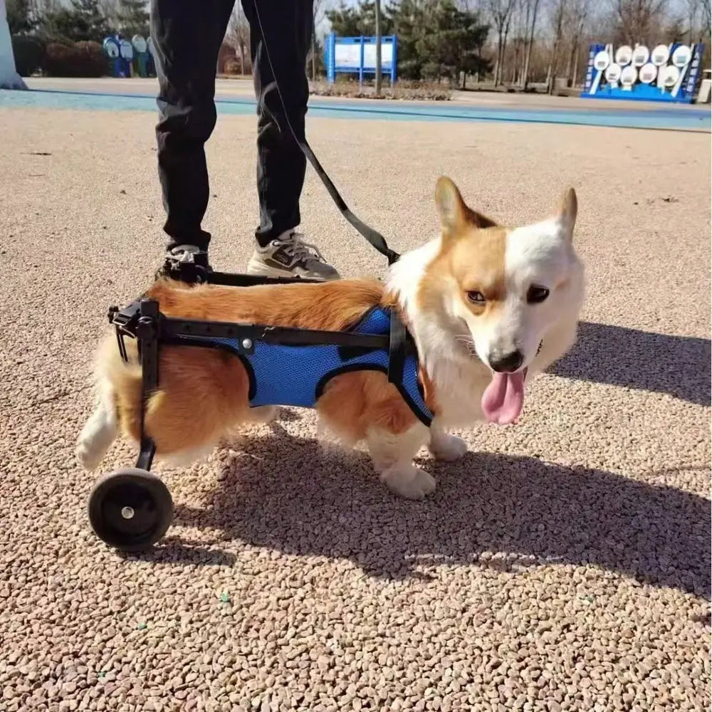 XMSJ Adjustable Lightweight Dog Wheelchair With Rear Leg Support