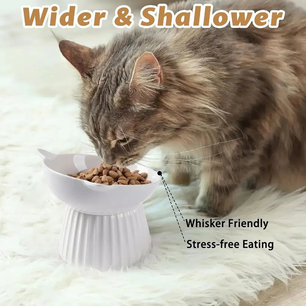 Raised Cat Bowl For Indoor Cats Anti Vomit Easy Clean