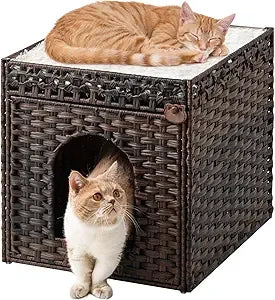 Handwoven Rattan Double Cat Cave Bed with Soft Cushions