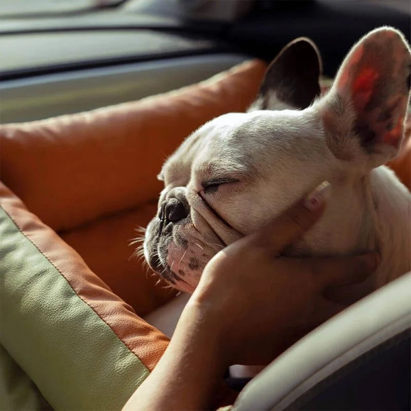Foldable Travel Pet Car Seat Bed Durable Anti Slip For Vehicle And Home