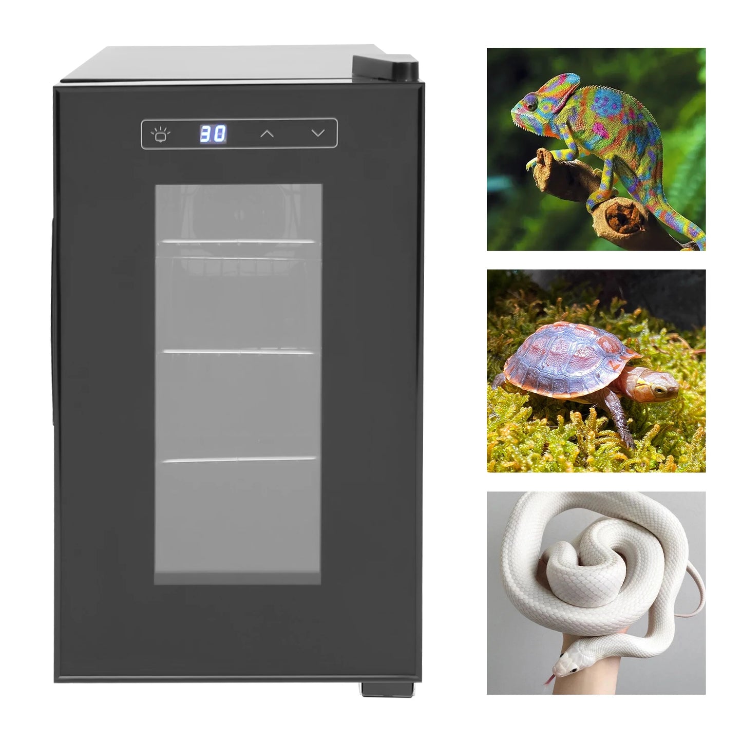 Bymaocar Digital Reptile Egg Incubator With Precision Temperature Control
