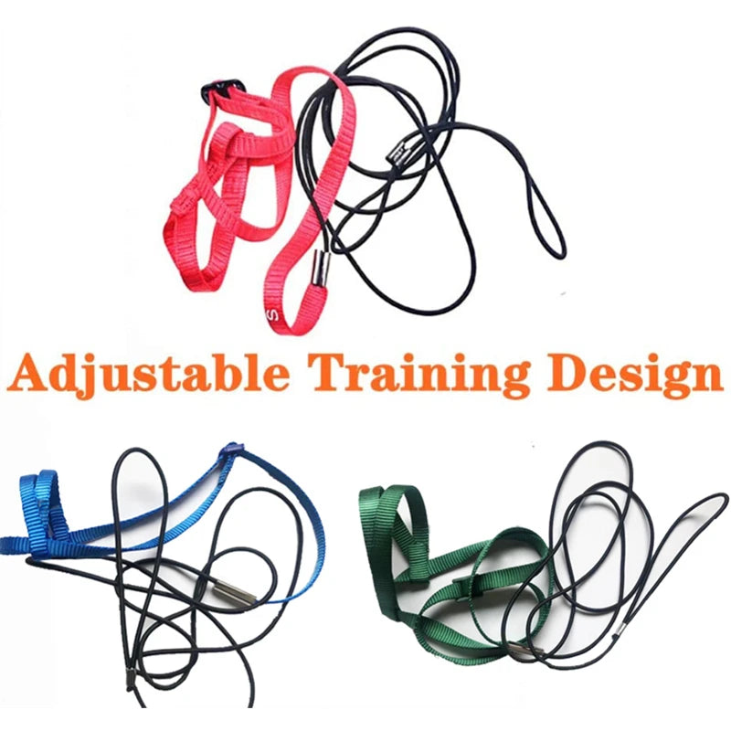 Parrot Bird Harness Leash for Small Parakeets and Cockatiels