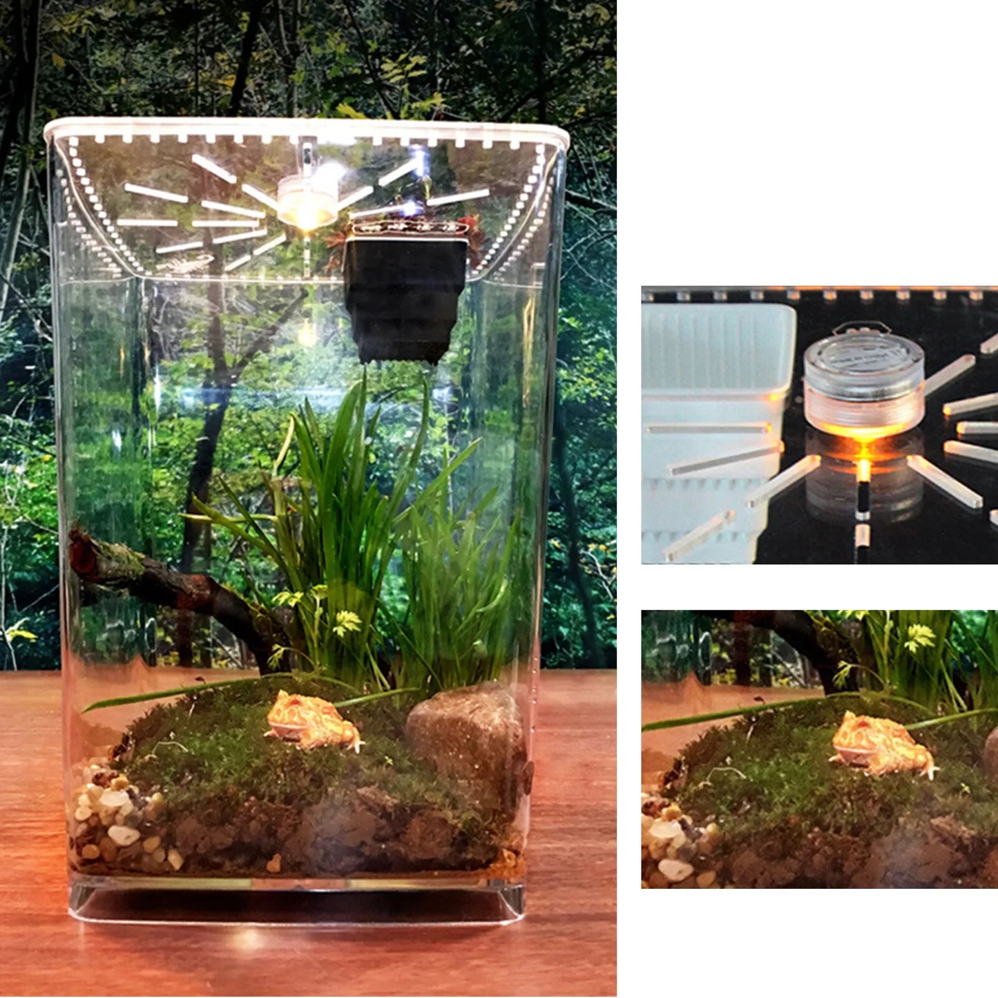 Bymaocar Acrylic Reptile Terrarium Vivarium Cage Enclosure
