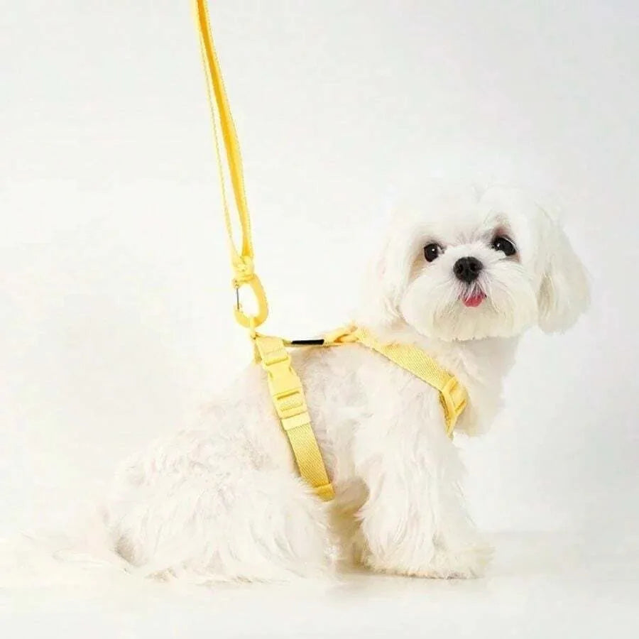 Adjustable Dog Harness and Leash Set Reflective for Small Dogs