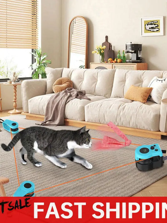 Guangdong DIY Mouse Hunting Cat Toy Treadmill Kitten