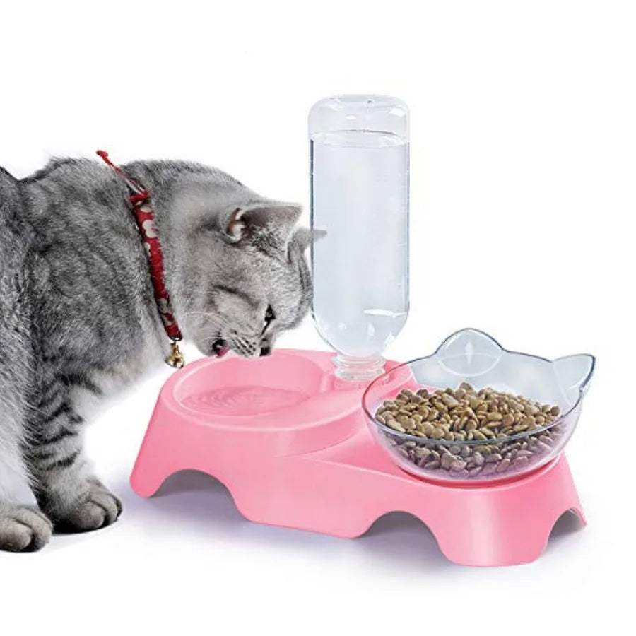 Double Dog Cat Bowls Pet Water and Food Tilted Set
