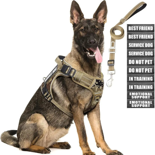 Hign-concerned Tactical Dog Harness And Leash Set For Large Dogs