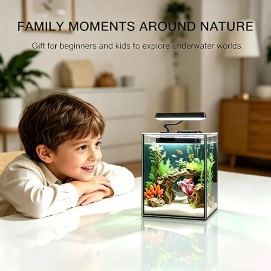 Glass Betta Aquarium Starter Kit With LED Light And Filter