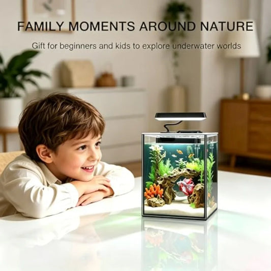 Glass Betta Aquarium Starter Kit With LED Light And Filter