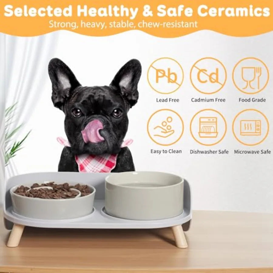 Elevated Slow Feeder Dog Bowls With Stand For Small Dogs