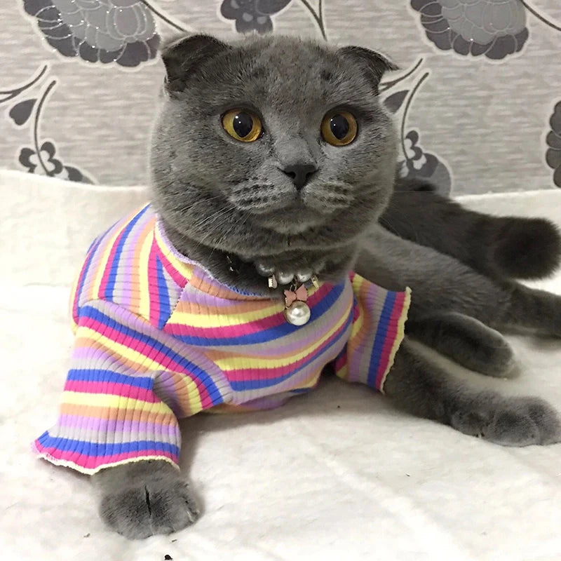 Striped Sphynx Cat Vest Shirt For Small Cats Pet Clothing
