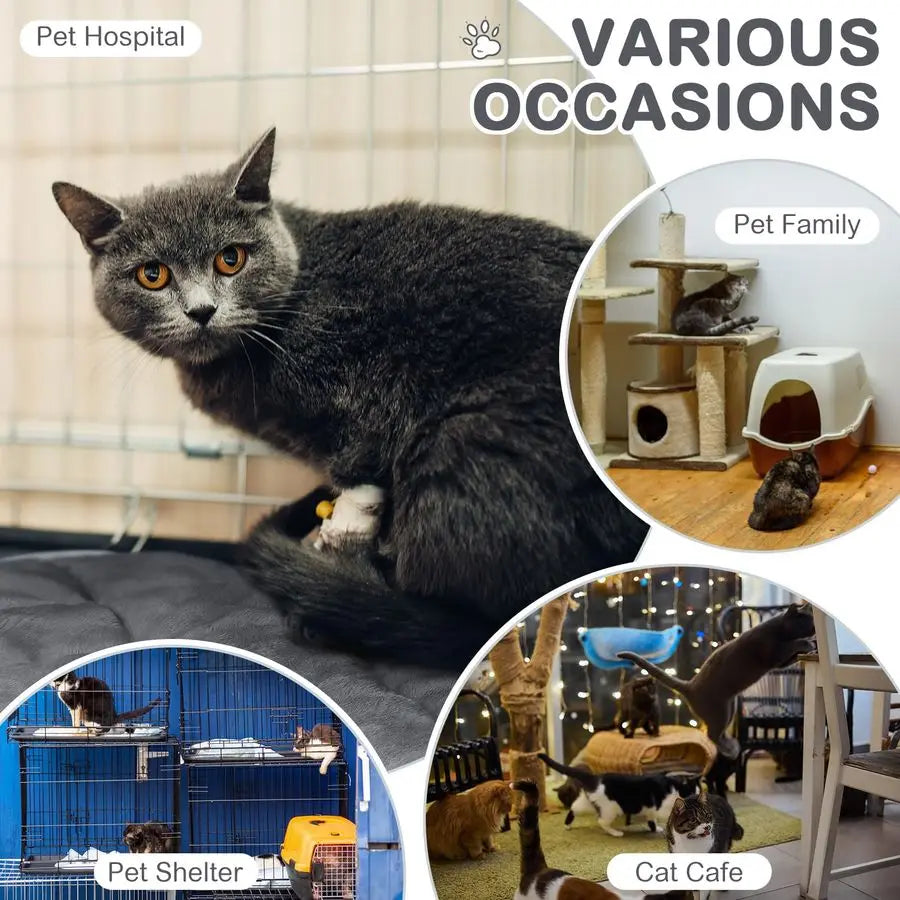 Self Heating Cat Mat Pack Warm Thermal Pet Bed Pads