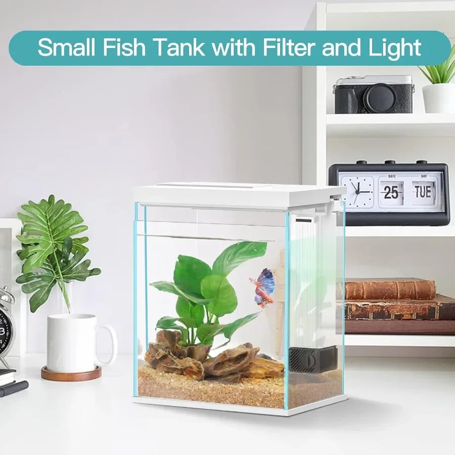 Hign Concerned Glass Betta Tank With Heater Filter LED