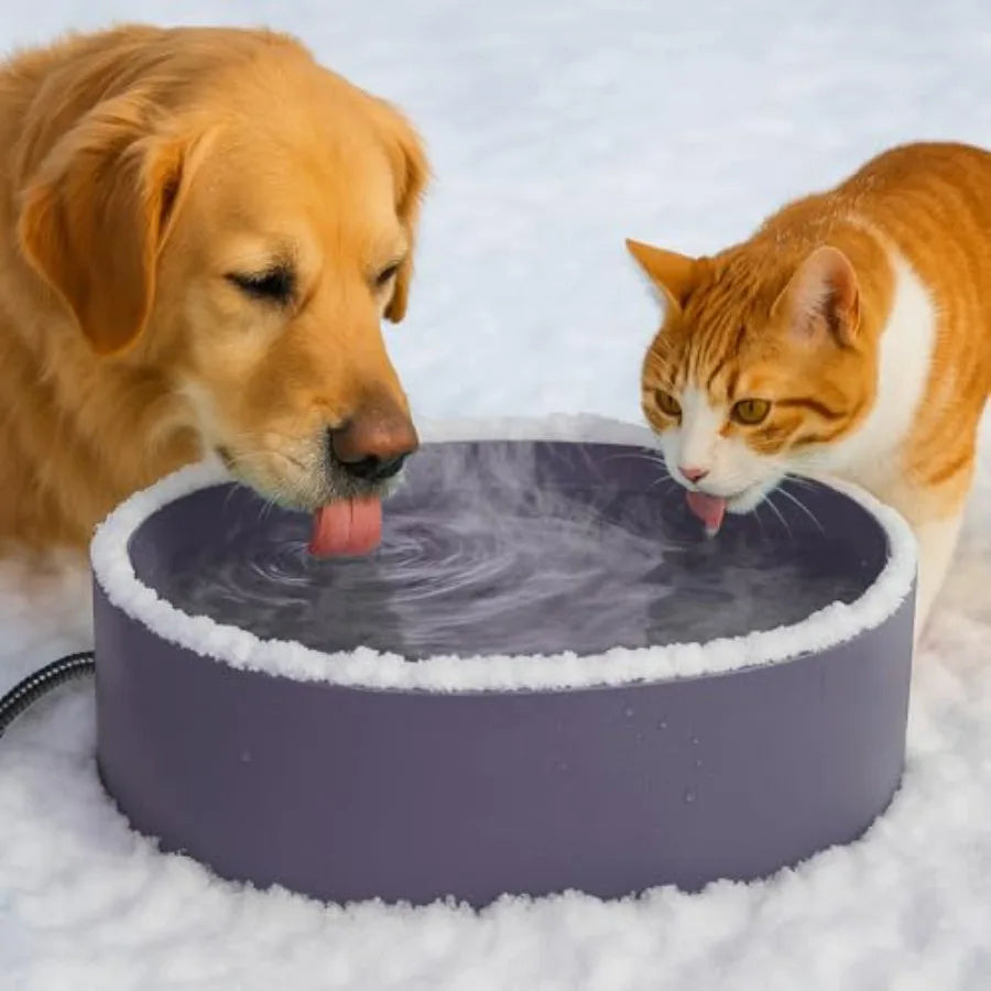 Pet Heated Water Bowl For Dogs And Cats With Chew Resistant Power Cord