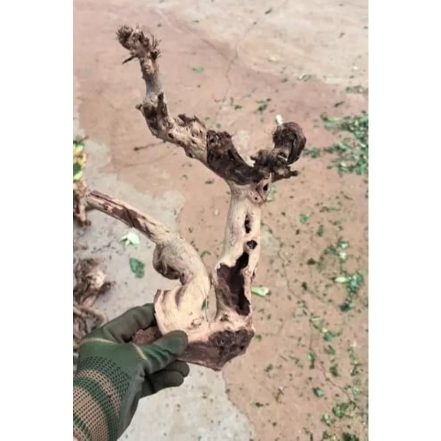 Hign-concerned Driftwood Aquarium Decor Natural Wood