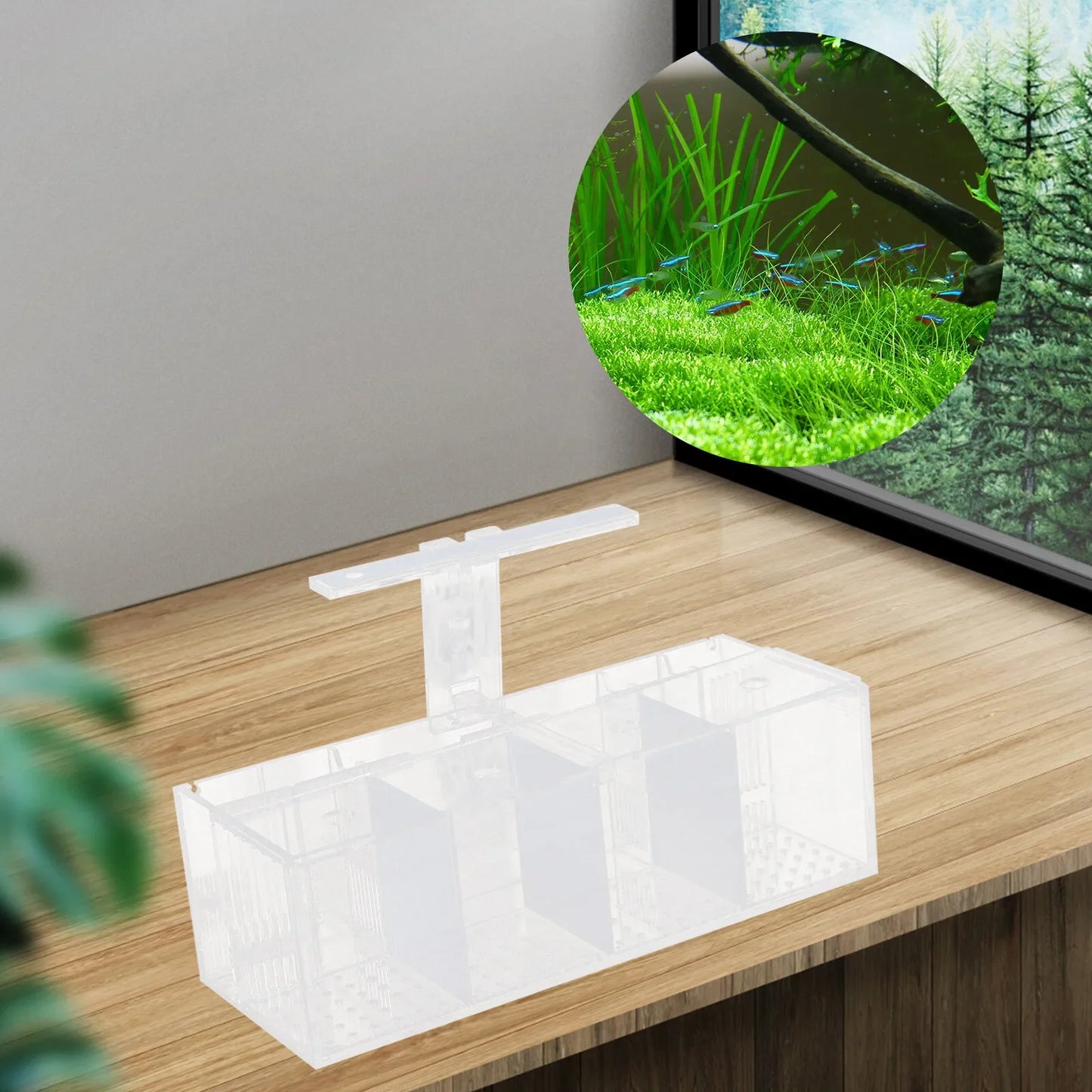 Hign-concerned USB Powered Desktop Aquaponic Betta Tank 4 Grid
