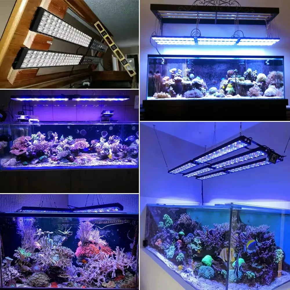 PopBloom WiFi LED Aquarium Light Full Spectrum for Marine Reef Tanks