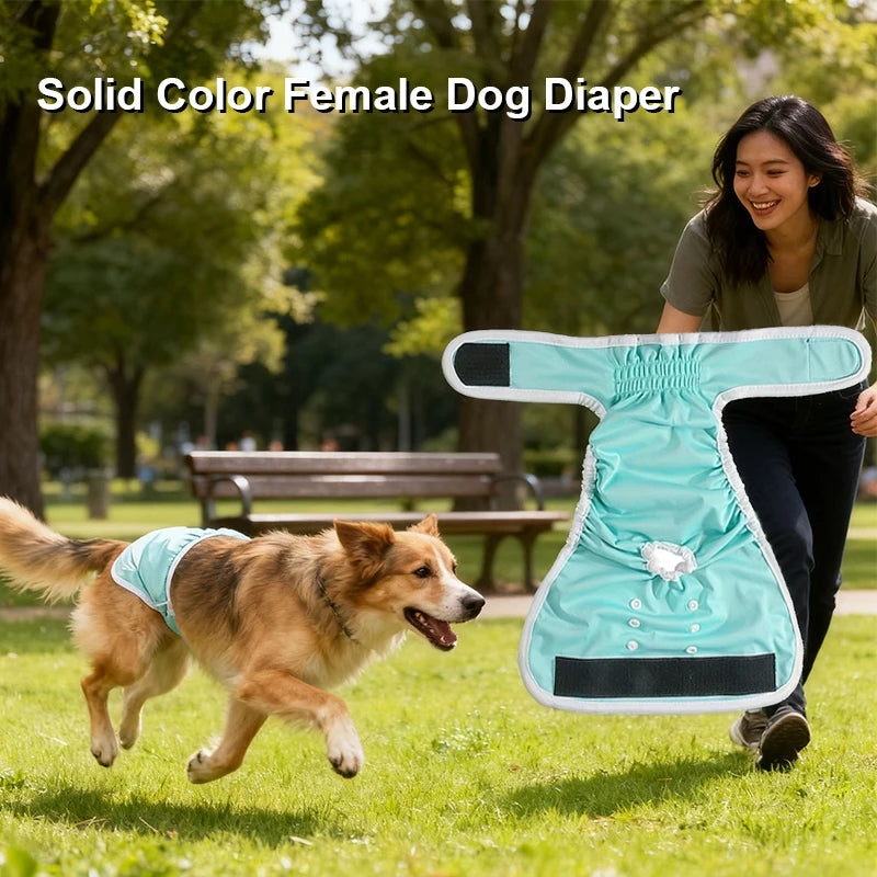 Reusable Dog Period Pants with Adjustable Snaps for Female Dogs