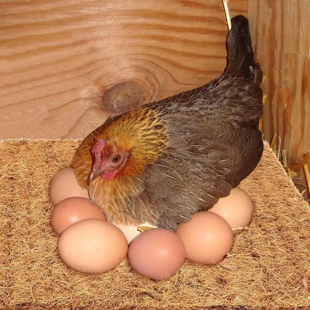 Nest Box Liners for Chickens 15 Pack Thickened Pads