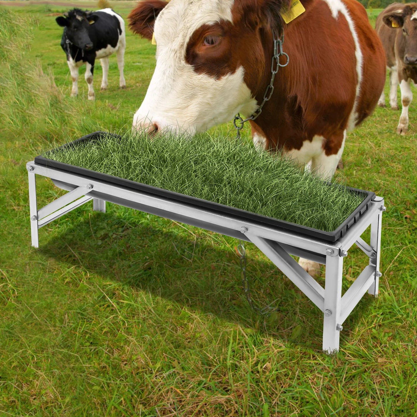 Livestock Feeder Trough For Cattle Sheep Horses Ranch Farm
