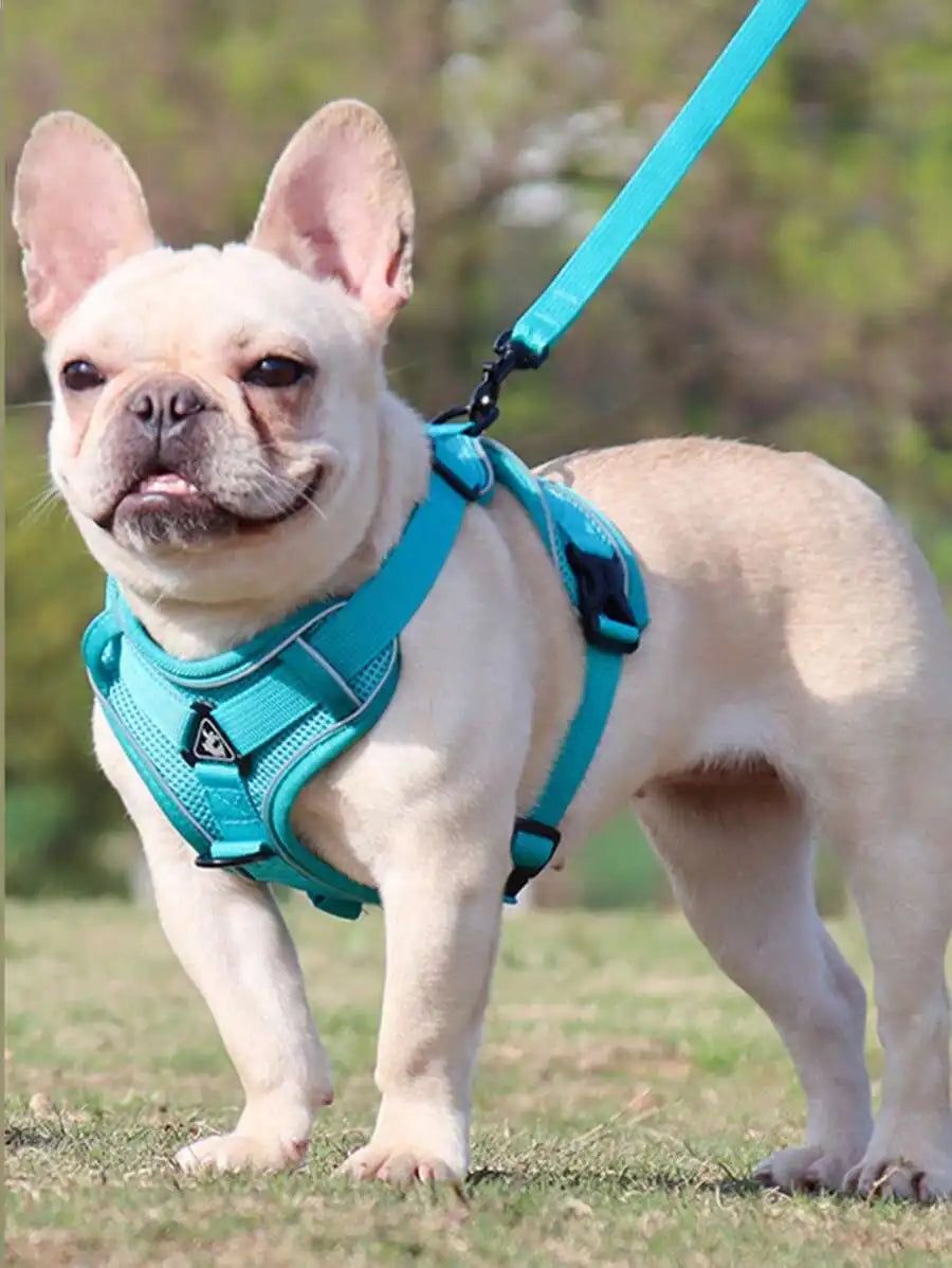 Reflective Pet Harness and Leash Set for Cats and Dogs