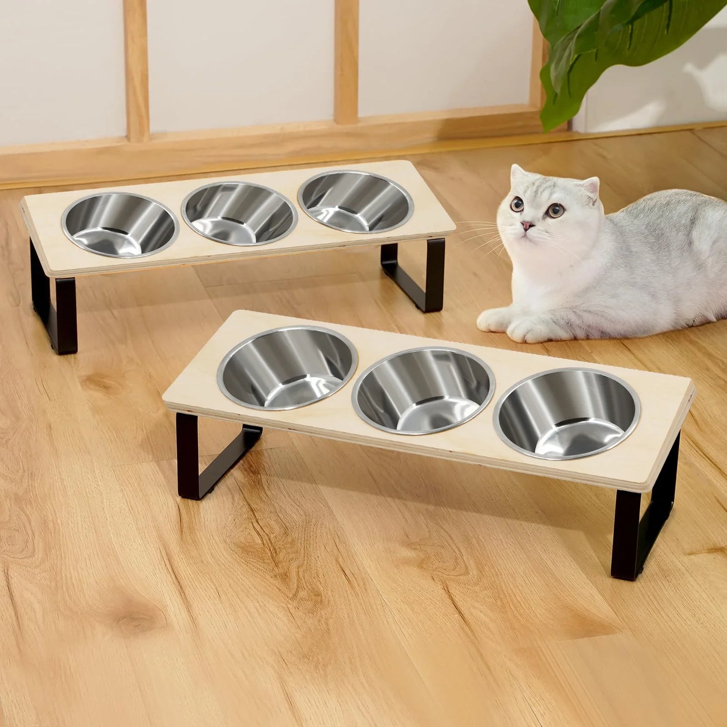 PETRAVEL Tilted Raised Cat Bowls With Stainless Steel Stand