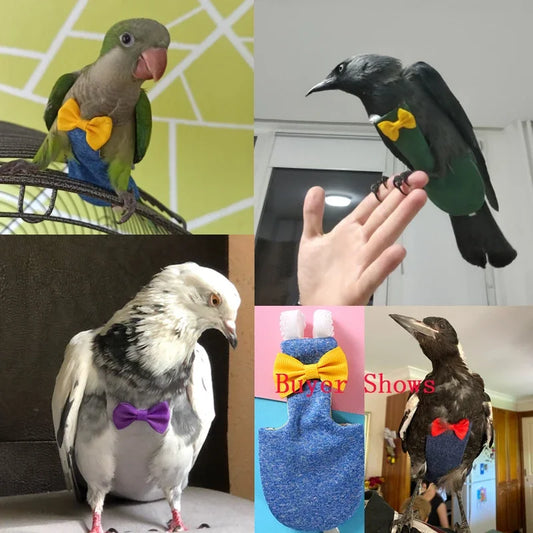 Zhejiang Parrot Pigeon Diaper Flight Suit Bird Clothes