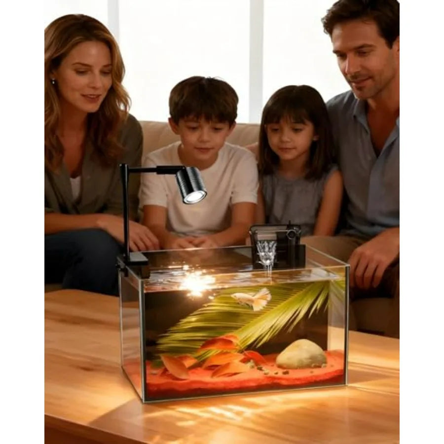 Fish Tank Aquarium Starter Kit With Filter And LED