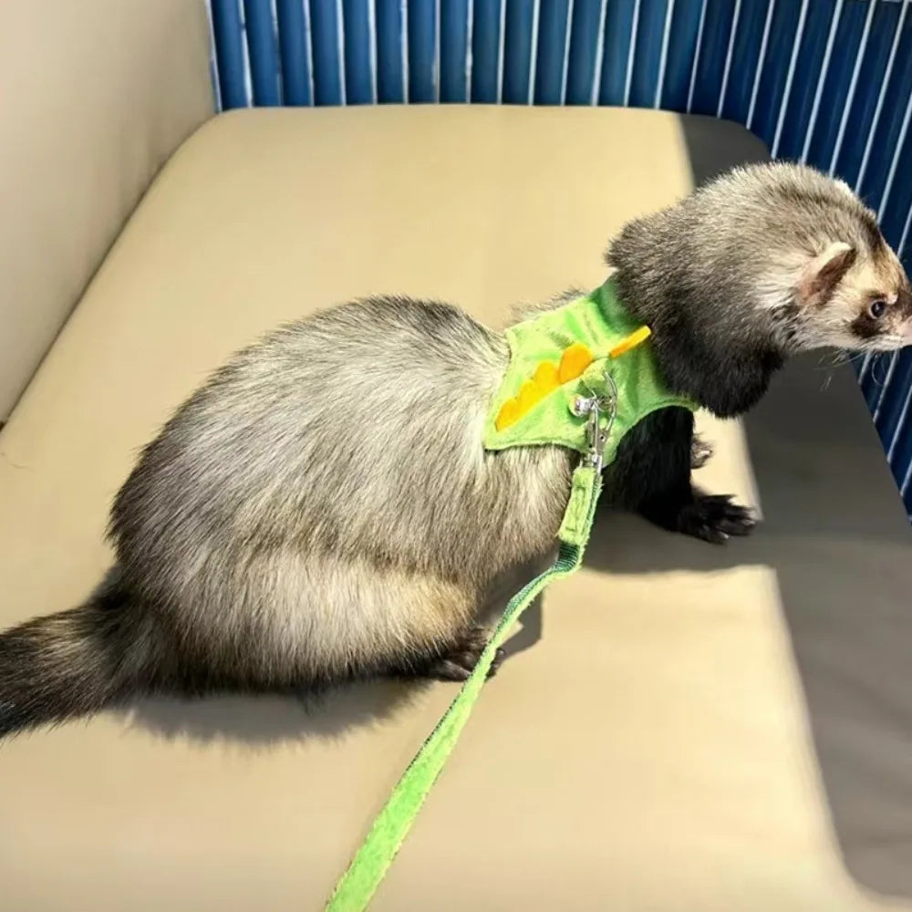Soft Flannel Ferret Harness With Dragon Design And Traction Rope