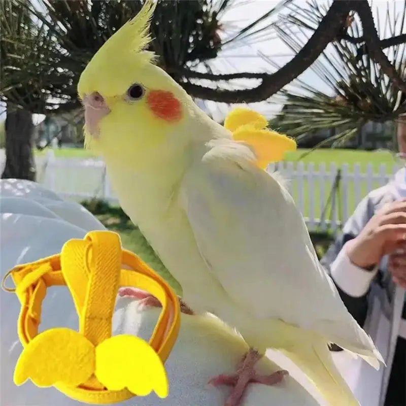 NONECN Parrot Harness Leash Set For Cockatiels Outdoor Flying