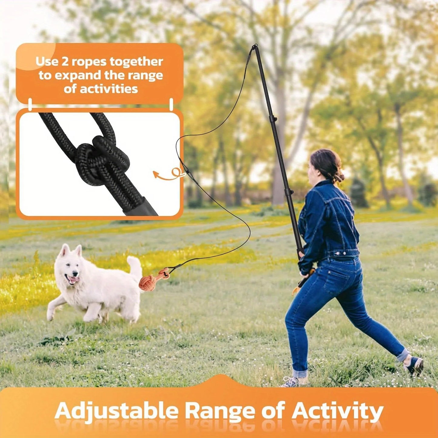 LOOBANI Dog Flirt Pole With Detachable Interactive Toys