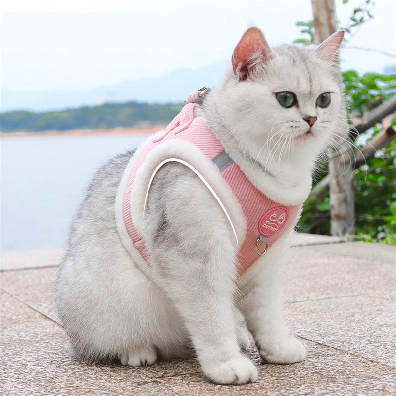 Sphynx Cat Harness Vest With Fur Winter Warm Leash Set