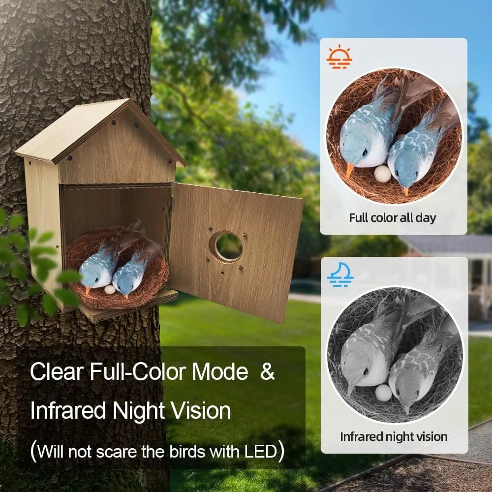 Solar Powered Bird House With WiFi Camera For Outdoors