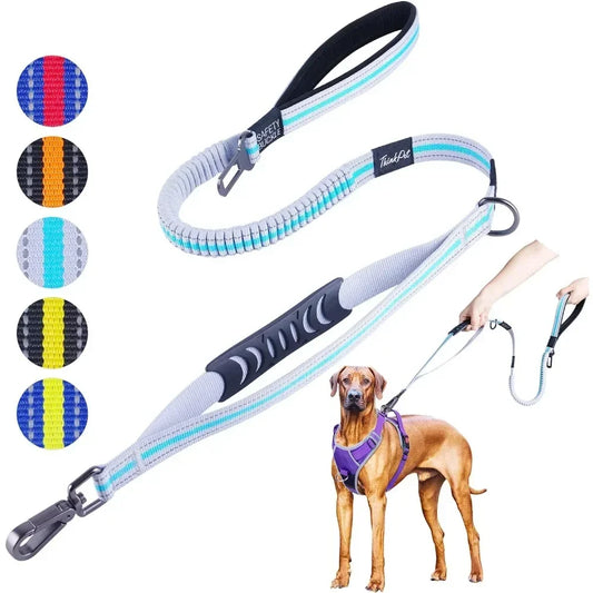XMSJ Dual Handle Padded Dog Leash With Reflective Nylon
