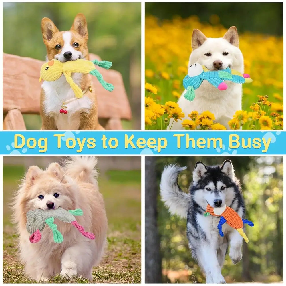 5 Pack Squeaky Dog Toys Bundle Crinkle Toys For Dogs